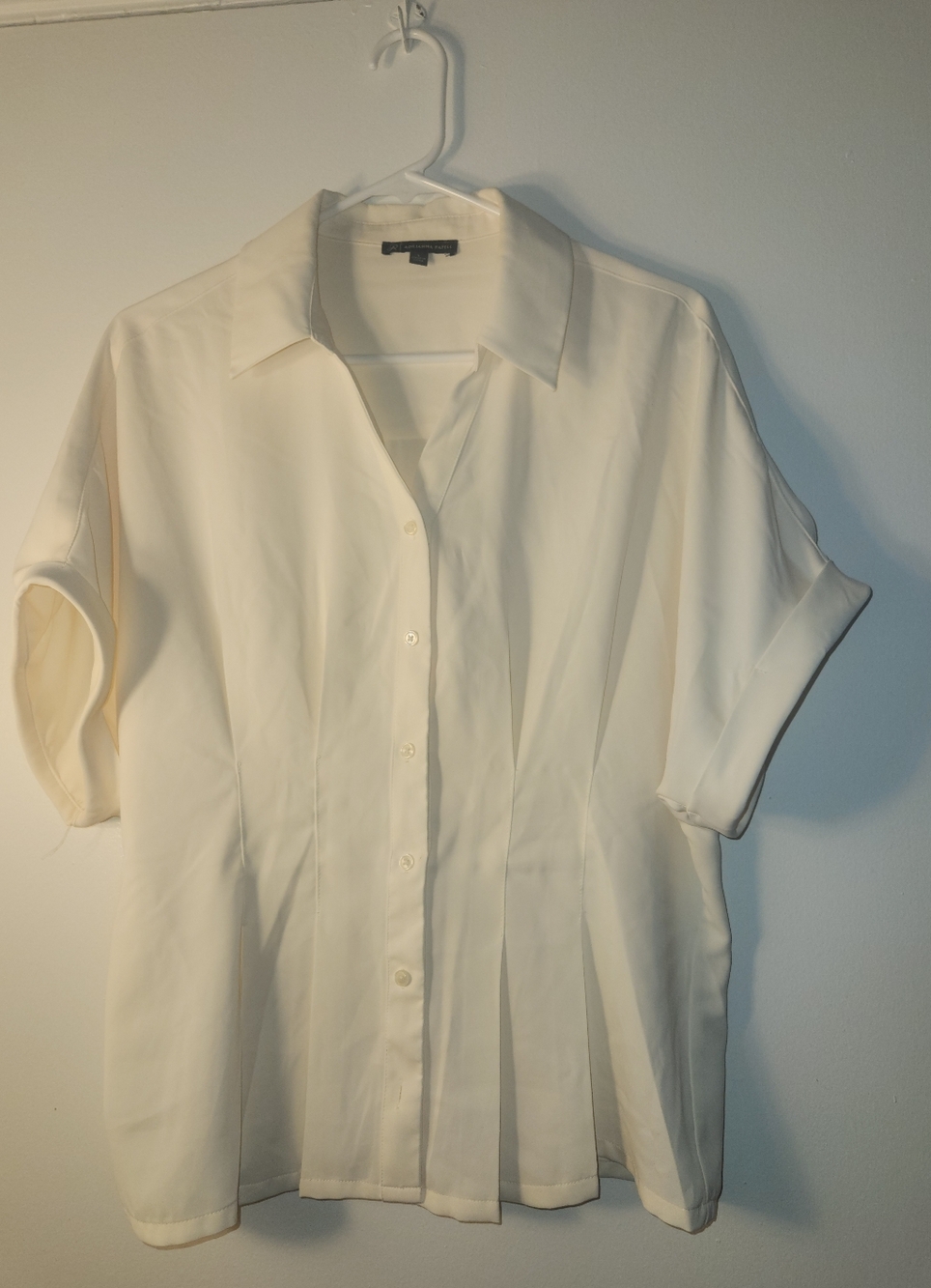 Adrianna Papell Cream Blouse with Collar